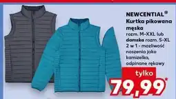 Kaufland Kurtka pikowana męska Newcential oferta