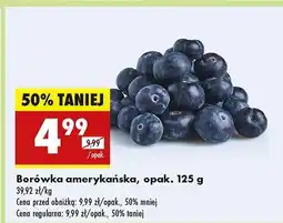 Biedronka Borówka amerykańska oferta