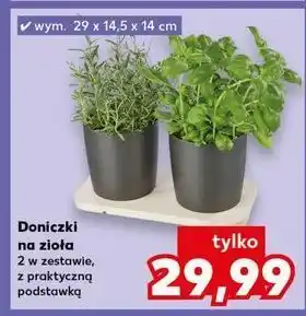 Kaufland Doniczki na zioła oferta