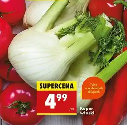 Biedronka Koper włoski oferta