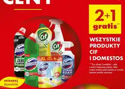 Biedronka Kostka do wc lime Domestos Power5 oferta