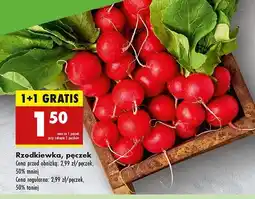 Biedronka Rzodkiewka oferta