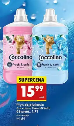 Biedronka Płyn do płukania blue splash Coccolino Fresh & Soft oferta