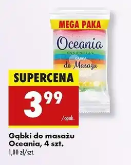 Biedronka Gąbki do masażu Oceania oferta