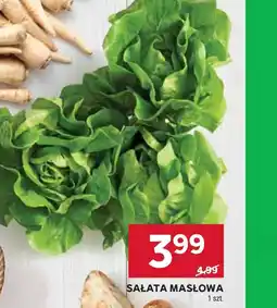 Stokrotka Market Sałata masłowa oferta