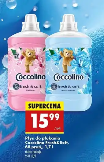 Biedronka Płyn do płukania Coccolino oferta