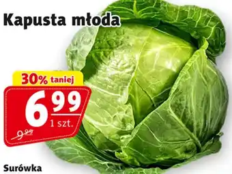 Prim Market Kapusta młoda oferta