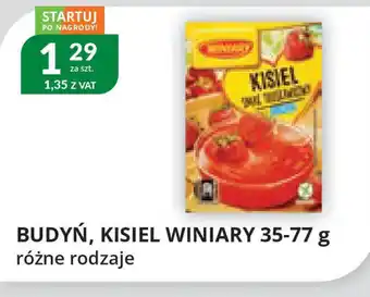 Eurocash Cash & Carry Budyń, Kisiel Winiary oferta