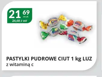 Eurocash Cash & Carry Pastylki pudrowe Ciut oferta