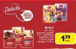 Carrefour Budyń waniliowe ciasteczko Delecta oferta