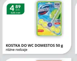 Eurocash Cash & Carry Kostka do WC Domestos oferta