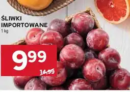 Stokrotka Śliwki import oferta