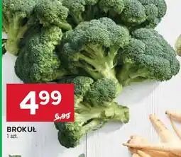 Stokrotka Brokuł oferta