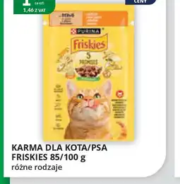 Eurocash Cash & Carry Karma dla kota/psa Friskies oferta