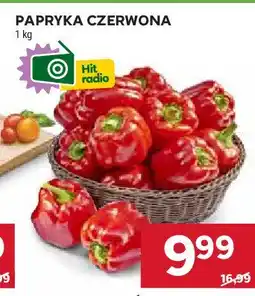 Stokrotka Papryka czerwona oferta