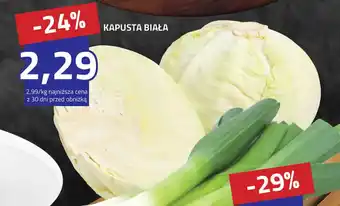 Hildebrandt Kapusta biała oferta