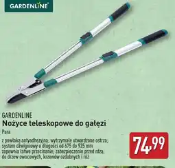 ALDI Nożyce do żywołpłotu Gardenline oferta