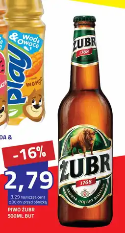 Hildebrandt Piwo żubr oferta