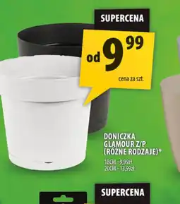 Arhelan Doniczka Glamour oferta