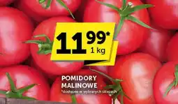 Groszek Pomidory oferta