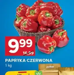 Stokrotka Optima Papryka czerwona oferta