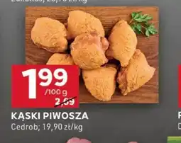 Stokrotka Optima Kaski Piwosza oferta