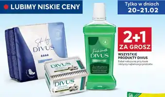 Stokrotka Optima Promocja Divus oferta