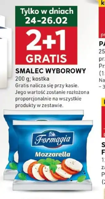 Stokrotka Optima Smałec wyborowy oferta