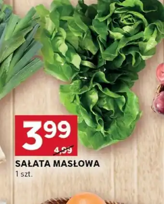 Stokrotka Optima Sałata masłowa oferta