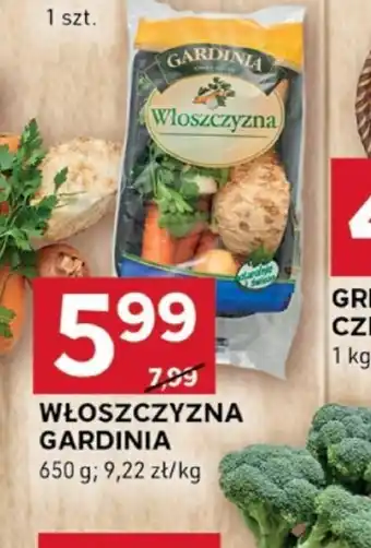 Stokrotka Optima Włoszczyzna Gardinia oferta