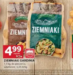 Stokrotka Optima Ziemniaki Gardinia oferta