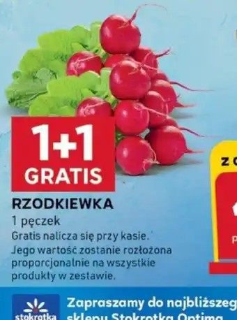 Stokrotka Optima Rzodkiewka oferta