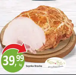 Passa Szninka Bracka oferta