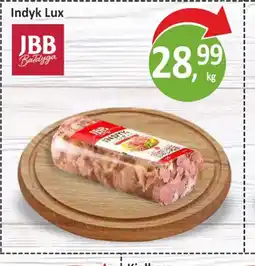 Passa Indyk Lux JBB oferta