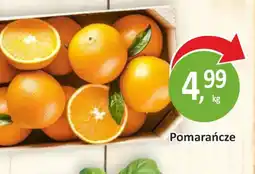 Passa Pomarańcze oferta