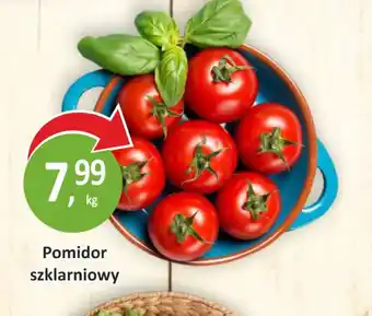 Passa Pomidor szklarniowy oferta