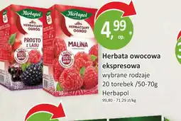 Passa Herbata owocowa ekspresowa Herbapol oferta