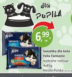 Passa Saszetka dla kota Felix Fantastic oferta