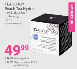 Hebe Teaology peach tea hydra nawilżający krem oferta