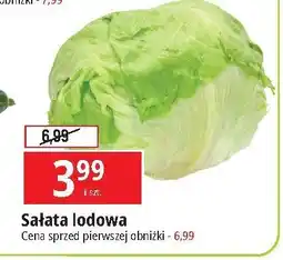 E.Leclerc Sałata lodowa oferta