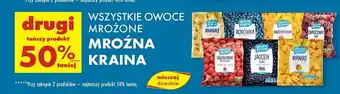 Biedronka Mango Mroźna Kraina oferta