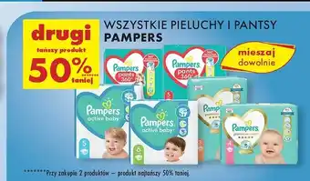 Biedronka Pieluszki dla dzieci maxi 4 Pampers Premium Care oferta