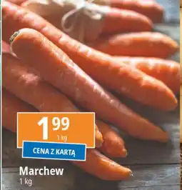 E.Leclerc Marchew oferta