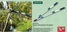 ALDI Nożyce do gałęzi Gardenline oferta