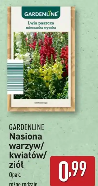 ALDI Nasiona warzyw Gardenline oferta