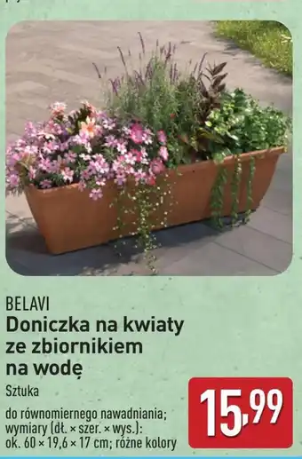 ALDI Doniczka Belavi oferta