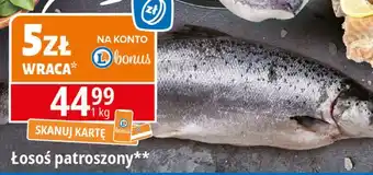 E.Leclerc Łosoś patroszony oferta