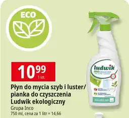 E.Leclerc Pianka ekologiczna do czyszczenia kuchni Ludwik oferta