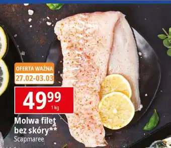 E.Leclerc Molwa filet bez skóry Scapmaree oferta