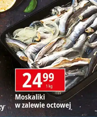 E.Leclerc Moskaliki w zalewie octowej oferta